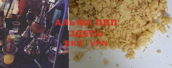 прущие грибы Алзамай