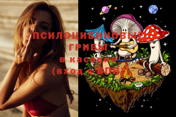 прущие грибы Алзамай