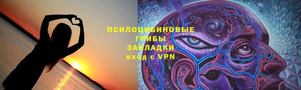 гидра Алексин