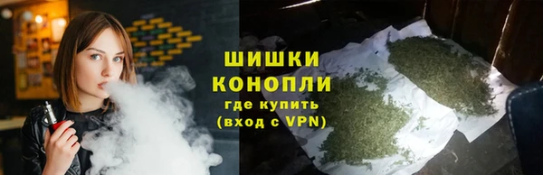 прущие грибы Алзамай