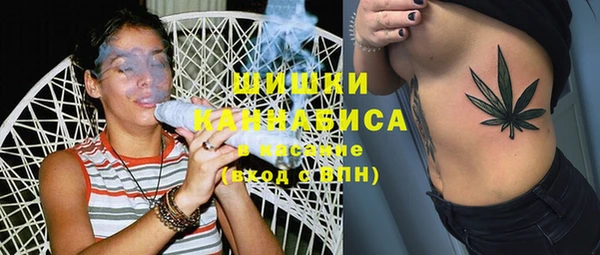 прущие грибы Алзамай