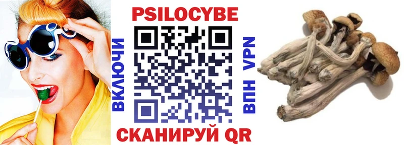 Псилоцибиновые грибы ЛСД  Купить где  Касимов 
